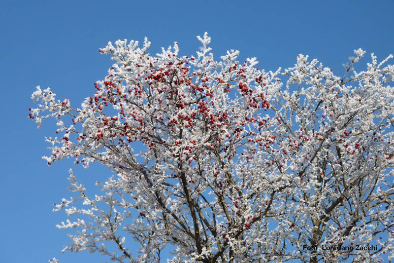 P1050218