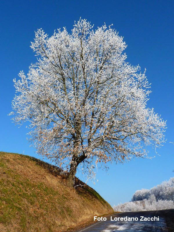 P1050273