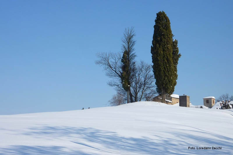 P1050552-