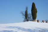 P1050552-