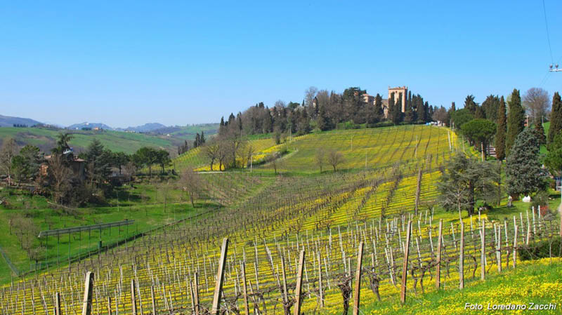 serravalle primavera