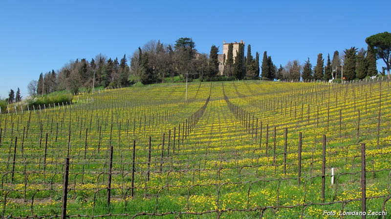 serravalle2