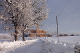 neve5