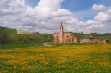 primavera